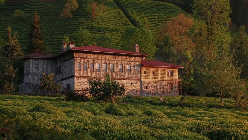 izmir miras avukatı 12